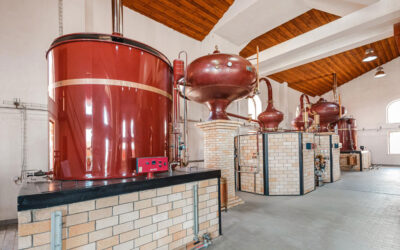 Distillation : le fonctionnement de l’alambic dans la production de spiritueux